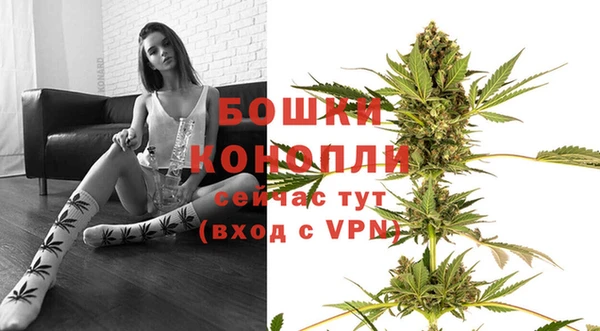 apvp Гусев