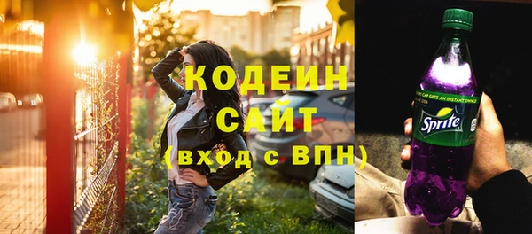 эйфоретик Гусь-Хрустальный