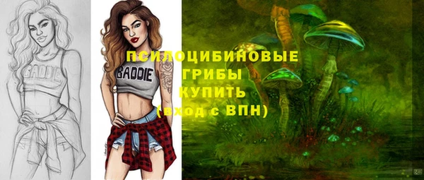 спиды Горно-Алтайск