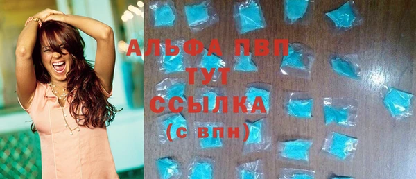 apvp Гусев