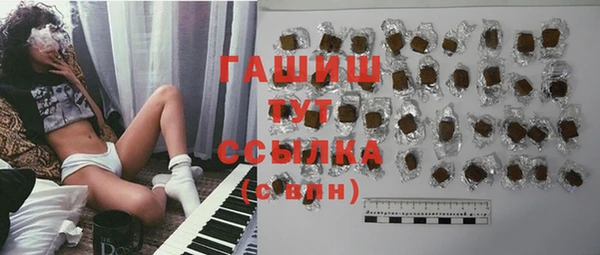 эйфоретик Гусь-Хрустальный