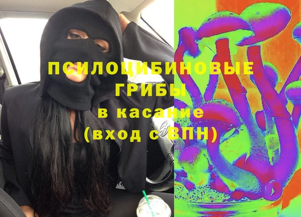 эйфоретик Гусь-Хрустальный