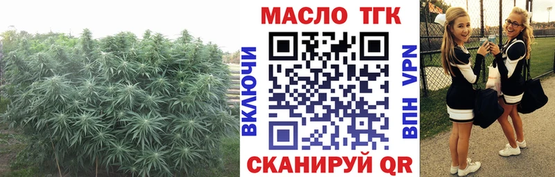 Купить где  Ряжск  Дистиллят ТГК вейп 
