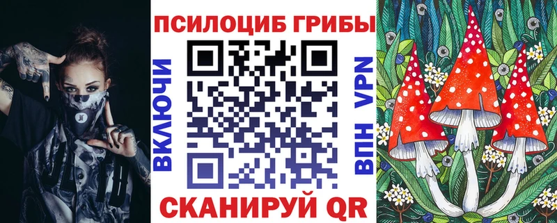 Купить закладки  Ряжск  Галлюциногенные грибы Magic Shrooms 